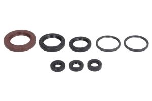 Komplet uszczelniaczy silnika P400510400120