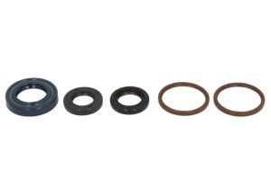 Komplet uszczelniaczy silnika P400550400003
