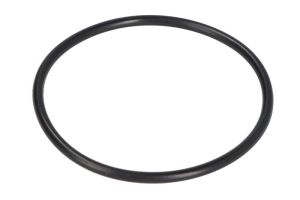 O-ring spodziny JASO-F404-31-065