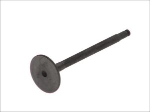 Zawór wydechowy 6131/RNT