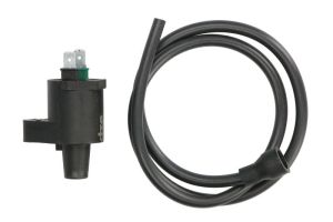 Cewka zapłonowa DZE00269