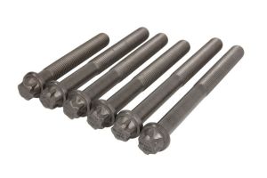 Zestaw śrub głowicy cylindrów FE11727