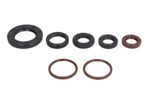 Komplet uszczelniaczy silnika P400485400172