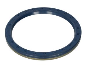 Uszczelniacz piasty koła CO12015499B