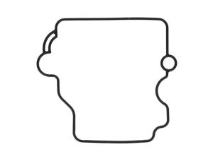 Uszczelki komory pływakowej FBG-304