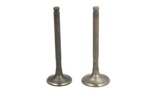 Zawór ssący IP000172