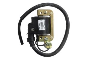 Cewka zapłonowa DZE00293