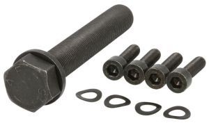 Zestaw śrub koła pasowego wału korbowego MS09