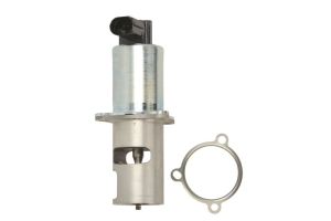 Zawór EGR 7.22818.57.0