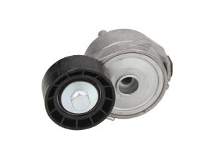 Napinacz paska wieloklinowego DAYAPV2556