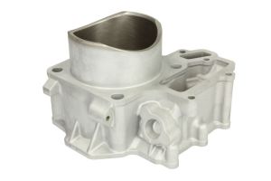 Cylinder silnika 30007