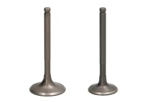 Zawór ssący IP000148