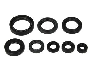 Kompletny zestaw uszczelek silnika P400210400101