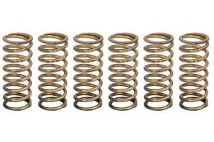 Zestaw sprężyn sprzęgła MEF339-6