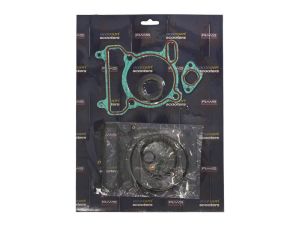 Kompletny zestaw uszczelek silnika RMS 10 068 9160