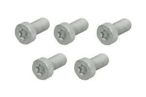 Śruba F 01M 100 684K