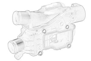 Termostat środka chłodzącego 9849443980