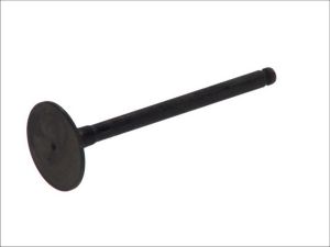 Zawór ssący 3989/RNT