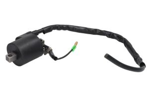 Cewka zapłonowa DZE10064