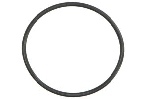 Uszczelka głowicy cylindrów M752505200004