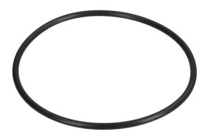 O-ring pompy paliwa F20-04060002E