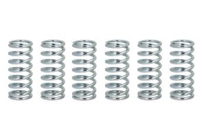 Zestaw sprężyn sprzęgła FSS0503