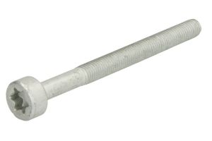 Śruba mocowania wtryskiwacza ENT250578