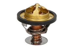 Termostat środka chłodzącego D2PE006TT