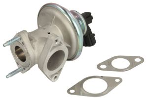 Zawór EGR NRF 48643