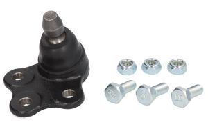 Sworzeń wahacza CTRCB0170