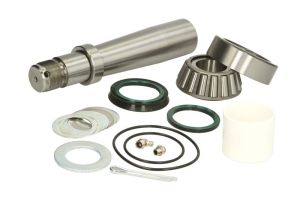 Zestaw naprawczy, zwrotnica (kolumna amortyzatora) LE712