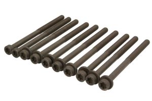 Zestaw śrub głowicy cylindrów AJU81041900