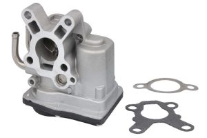 Zawór EGR NRF 48659