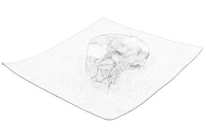 Pokrywa panewki wału korbowego 55588333