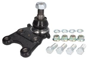 Sworzeń wahacza CTRCB0149