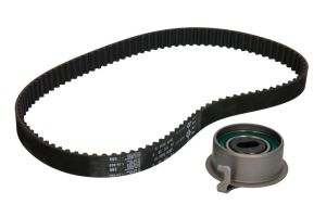 Zestaw paska rozrządu 530 0355 10