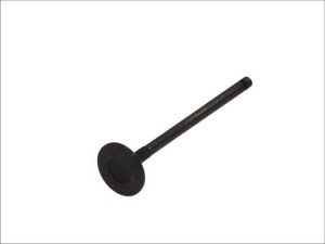 Zawór ssący 6171/SNT