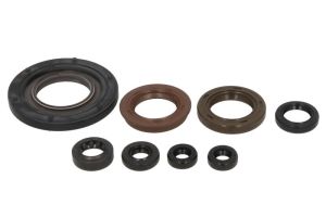 Komplet uszczelniaczy silnika P400510400255