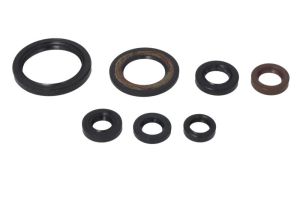 Komplet uszczelniaczy silnika P400485400216