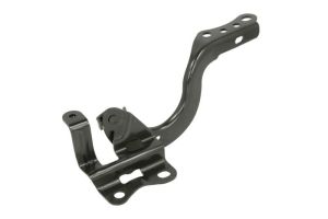 Zawias pokrywy silnika 6802-00-8119452P