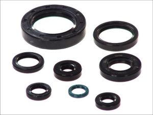 Kompletny zestaw uszczelek silnika P400210400252