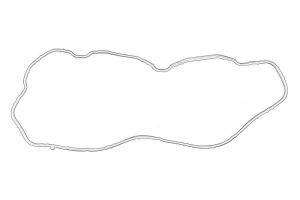 Uszczelka kolektora dolotowego 5801484362