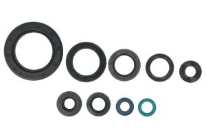 Kompletny zestaw uszczelek silnika P400210400249