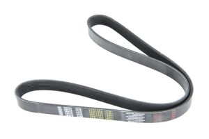 Pasek wieloklinowy 7.54807