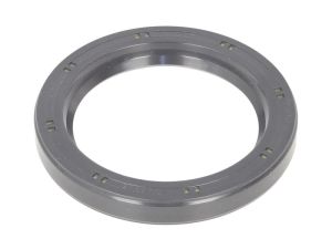 Uszczelniacz piasty koła CO19027876B