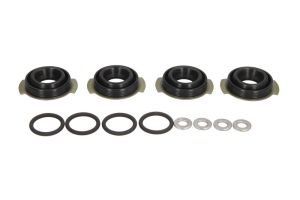 Zestaw montażowy wtryskiwacza ENT250509