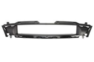 Atrapa chłodnicy (grill) 5601-00-2563990P