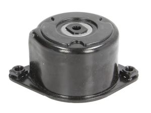 Napinacz paska wieloklinowego 534 0170 10