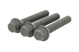 Zestaw śrub koła pasowego wału korbowego CO80004873