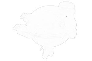 Zbiorniczek wyrównawczy płynu chłodzącego 9800777280